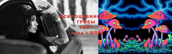 молекула духа Балахна