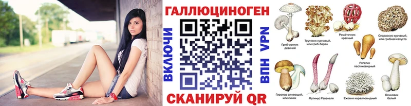 Галлюциногенные грибы MAGIC MUSHROOMS  наркотики  Красный Холм 